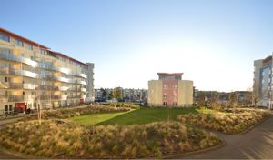 Communal Gardens- click for photo gallery